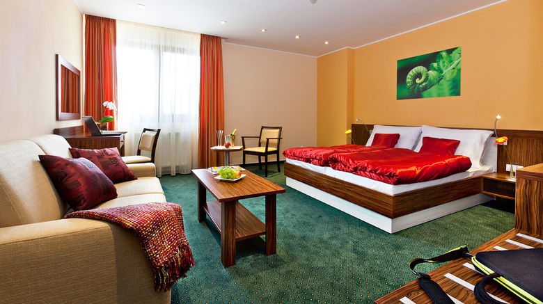 <b>Hotel Viktor-Bratislava Room</b>