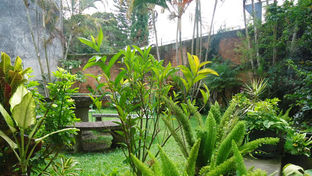 Boutique Hotel Casa Las Orquideas