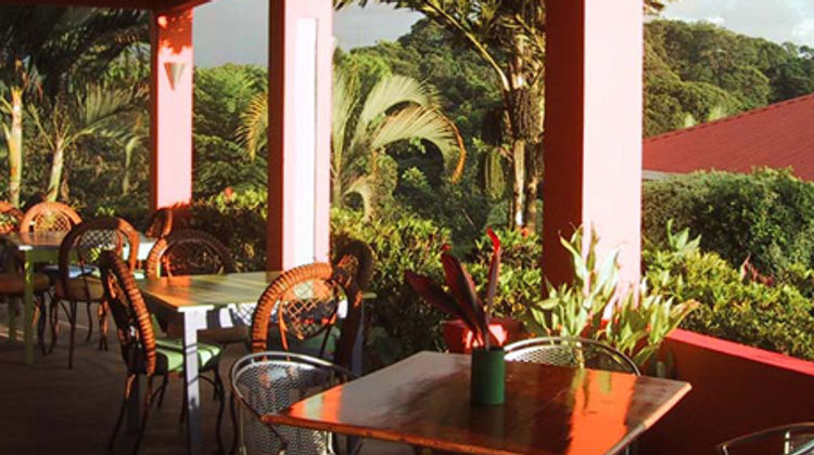Hotel Lookout at Playa Tortuga Restaurant