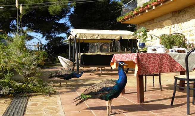 Villa San Marco Agrigento Exterior
