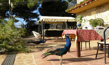 Villa San Marco Agrigento