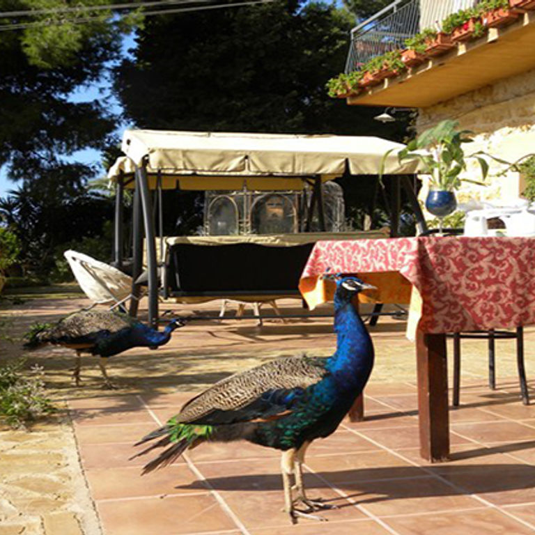 Villa San Marco Agrigento