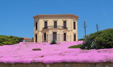 Villa Mosca Charming House