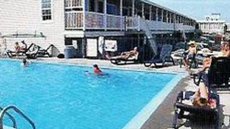 <b>Mt Royal Motel Pool</b>