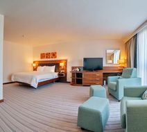 Hilton Garden Inn Krasnodar Room