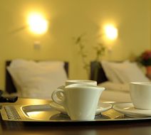 Hotel Alexander Suite