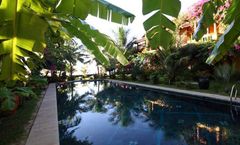 Full Moon Beach & Jibe Beach Club