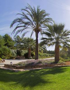 Soho Farmhouse Ibiza