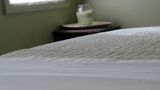 Star of Texas Bed & Breakfast Spa