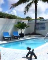 Dolphin Suites