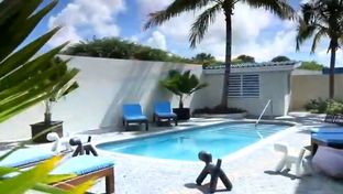 Dolphin Suites