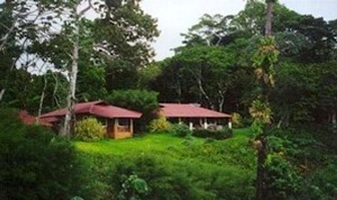 Bosque Del Cabo Exterior