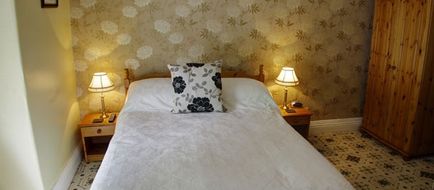 Bron Rhiw Hotel Room