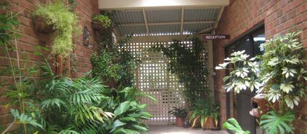 Edge of the Forest Lobby