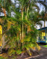 Alex Beach Cabins & Tourist Park