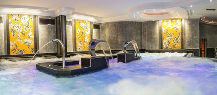 Hotel Princesa Parc Spa