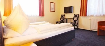 Hotel Altmann Room