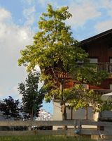 Naturhaus Lehnwieser