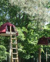 Woody Park