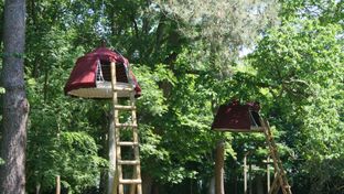 Woody Park