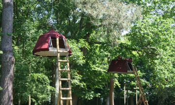 Woody Park
