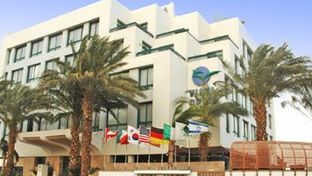 Brown Eilat