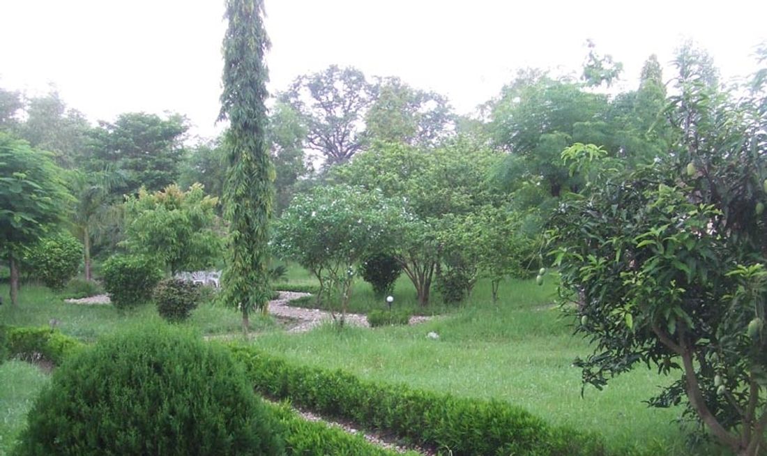 Nepal Wildlife Resort Banquet