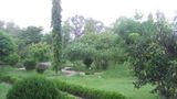 Nepal Wildlife Resort Banquet