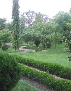 Nepal Wildlife Resort