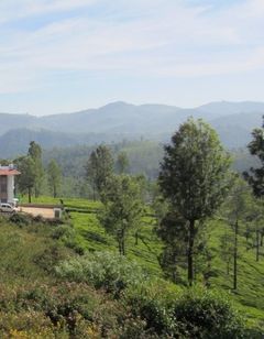 Sunvalley Homestay