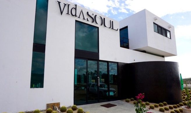 Vidasoul Hotel Exterior