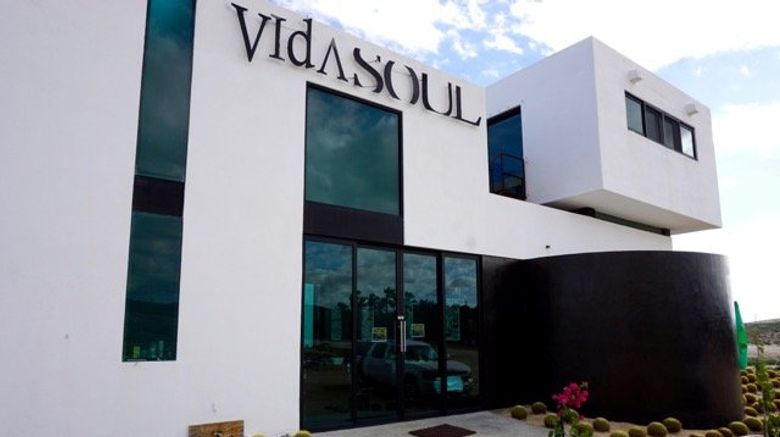 Vidasoul Hotel Exterior