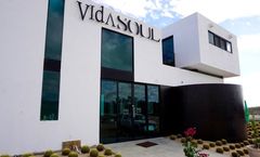 Vidasoul Hotel