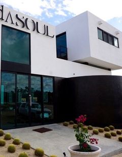 Vidasoul Hotel