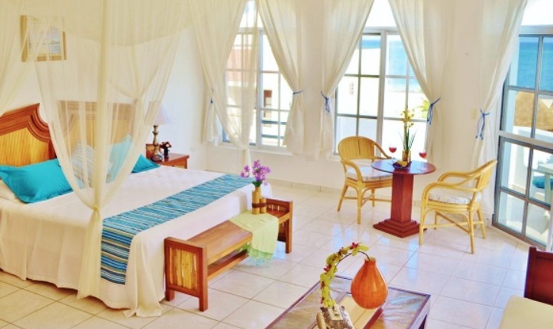 Corales Suites Room