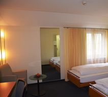 Hotel Urs und Viktor Room