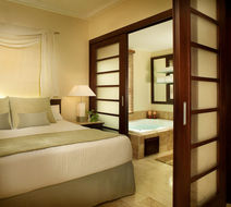 The Reserve at Paradisus Punta Cana Room