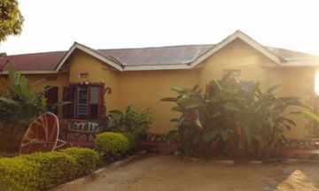 Gorilla African Guest House
