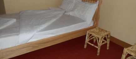 Gorilla African Guest House Room