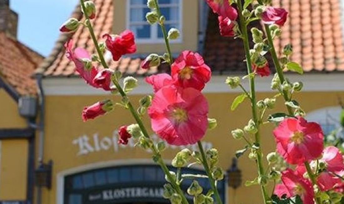 Hotel Klostergaarden Exterior