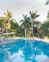 Sefapane Lodge and Safaris