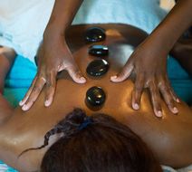 Sefapane Lodge and Safaris Spa