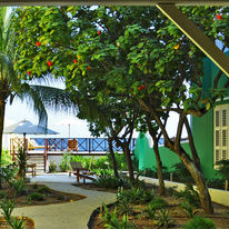 Scuba Lodge