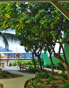 Scuba Lodge