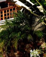 Casa Ramirez