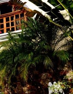 Casa Ramirez