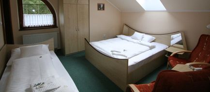 Penzion Zlaty Jelen Room