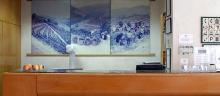 Hotel Douro Lobby