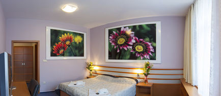 Hotel Air Room