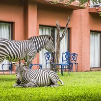 Avani Victoria Falls Resort